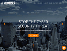 Tablet Screenshot of amnetsystems.com